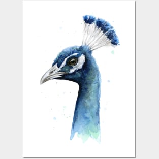 Blue Profile Peacock Watercolor Posters and Art